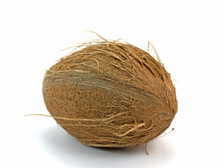 Kokosnuss, Coconut