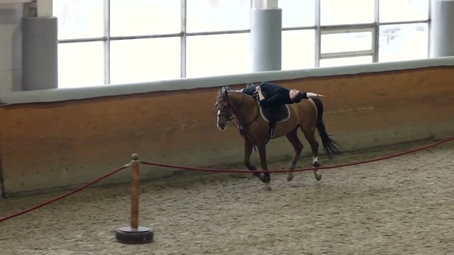 A man trick riding a horse on arena. Man doing stunts on horseback. Man riding a horse lying.