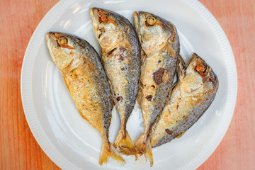 Fried mackerel in white plate.