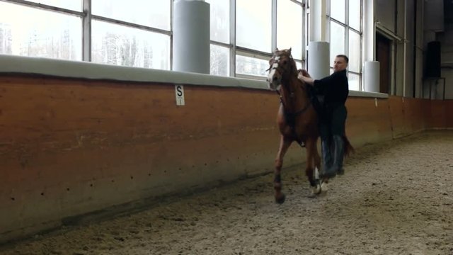 A man riding trick and Vaulting on horse. A man riding a horse upside down.