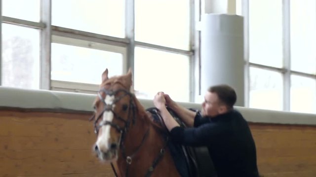A man riding trick and Vaulting on horse. A man riding a horse upside down.