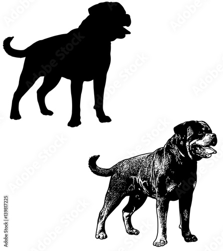 Image Result For Rottweiler Vector