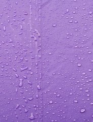 rain water drop on purple umbrella background with copy space for add text