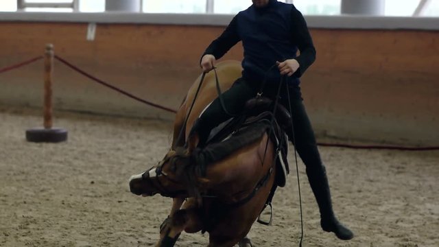 Horse to lay down. Asking a horse to lie down when riding. Laying down horse. No ropes. Natural Horsemanship.