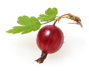 Red gooseberry with green leaves isolated on white background