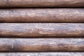Obraz premium The old wood texture with natural patterns