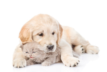Puppy hugging a small kitten. isolated on white background