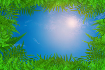 Green trees and leaf greenery sky cloud background