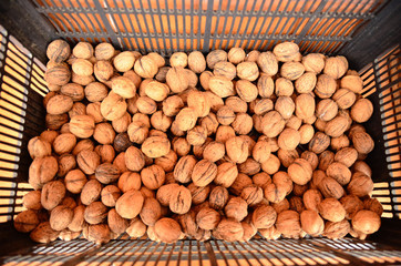 Walnuts