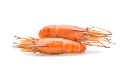 shrimps on white background
