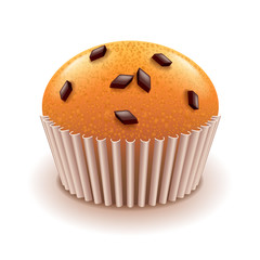 Muffin with chocolate crumbs isolated on white vector