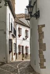 Fototapeta na wymiar Ronda (Andalucia, Spain)