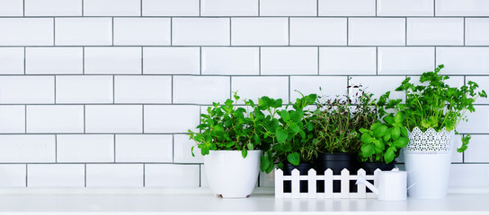 Mint, thyme, basil, parsley - aromatic kitchen herbs in white wooden crate on kitchen table, brick tile background. Potted culinary spice plants. Minimalistic lifestyle concept. Copyspace. Banner © jchizhe