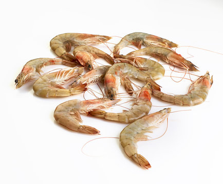 Gambas