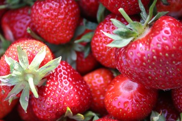 Freshly picked strawberries in a punnet