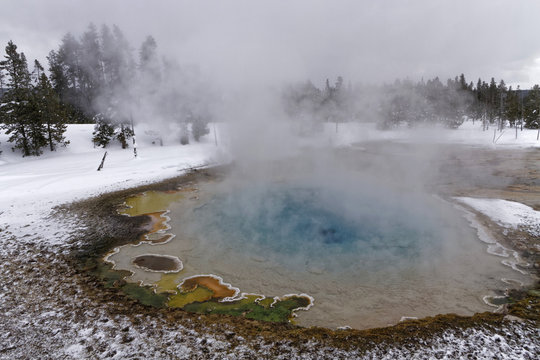 Hot springs in Fountain Paint Pot, Yellowstone National Park