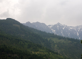 Fototapeta na wymiar Cloudy weather in the vicinity of Shimla, Himalayas, India