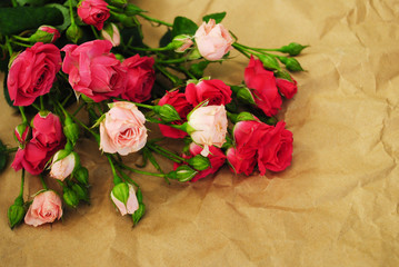 Bouquet of roses on paper