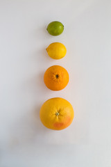 Four pieces of citrus fruit, grapefruit, orange, lemon, lime in a vertical row
