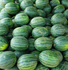 water melon