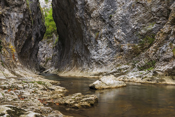 mountain stream in a deep gorge