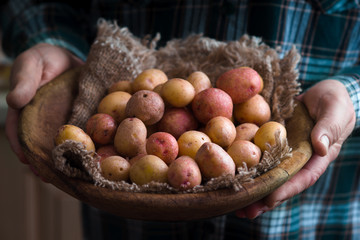 Potatoes red and white in a bowl in a man's hands