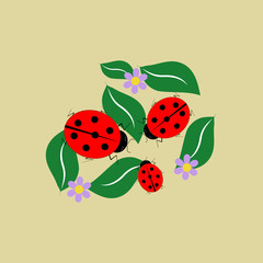 Ladybug isolated on leaf