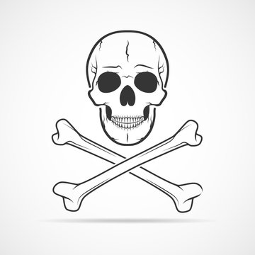 Skull and crossbones. Vector illustration