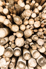 Holzstapel hoch