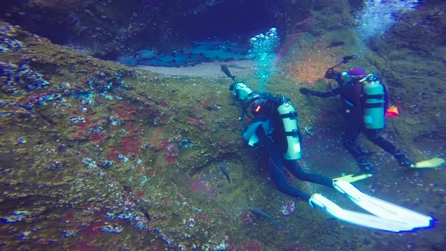 Увлекательные подводные погружения с акулами у острова Рока Партида в Тихом океане. Мексика.
