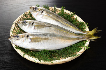 鯵