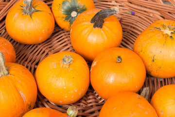 orange pumpkins on a pile in a wooden basket