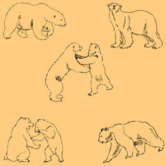 The Bears. Sketch by hand. Pencil drawing by hand. Vector image. The image is thin lines. Vintage