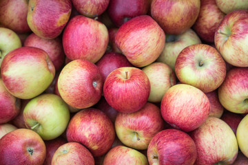 Top view of juicy fresh red and yellow apples.