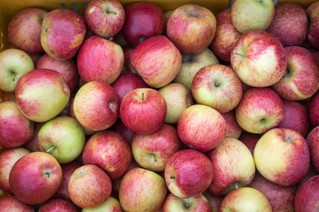 Top view of juicy fresh red and yellow apples.