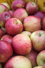 Fototapeta na wymiar Top view of juicy fresh red and yellow apples.
