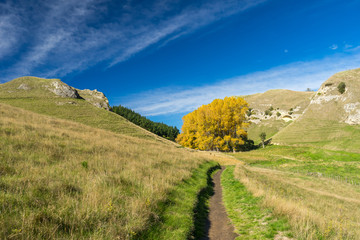Countryside landscape with single path.