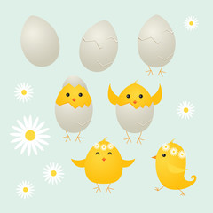 Cute easter chicks and eggs, vector illustration