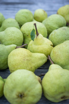 Close view of juicy fresh yellow pears. Vertical view of bio pears ready to eat.