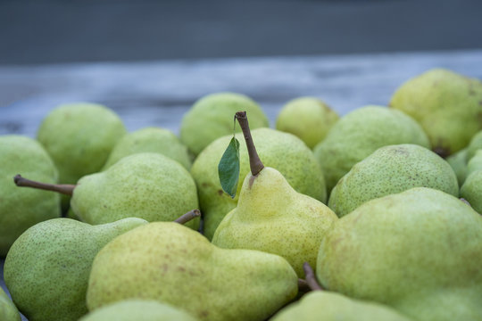 Close view of juicy fresh yellow pears. Horizontal view of bio pears ready to eat.