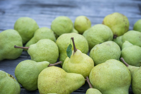 Close view of juicy fresh yellow pears. Horizontal view of bio pears ready to eat.