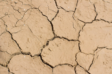Close up of the cracked ground, dry soil texture for background