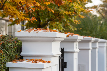 Einfriedung im Herbst © Kara