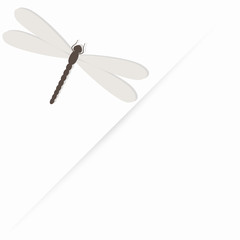  template for folder, business card and invitation