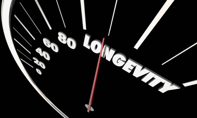 Longevity Lasting Life Span Word Speedometer 3d Illustration
