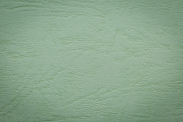 Light Green paper texture
