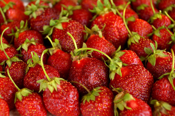 Scattering of dark red strawberry
