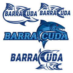 Fototapeta premium Barracuda logo