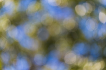 Orange concrete pavement stone