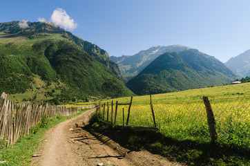 Fototapeta na wymiar Summer landscape with a road in a mountain village in Georgia